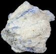 Kyanite Crystal Cluster with Quartz - Brazil #44993-1